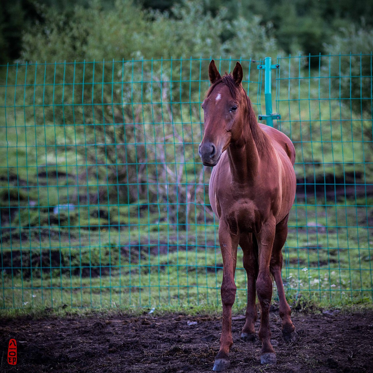 传奇庄园（图ZODkyMTQ4OTI=） - 建筑设计 - 站酷设计师高端酒店设计公司原创素材 - 站酷ZCOOL