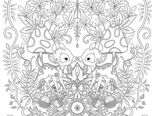 秘密花园系列