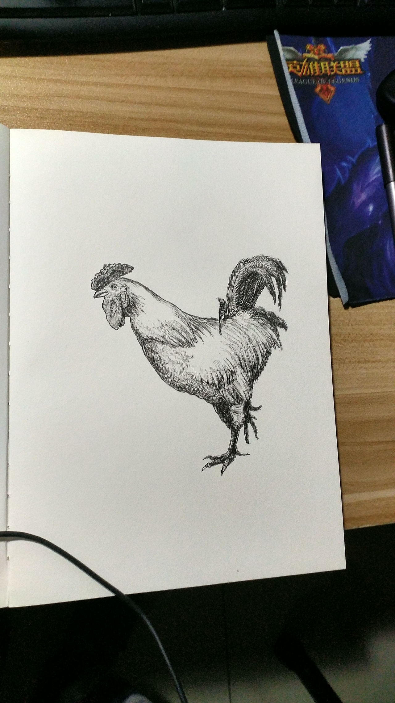 0.05 mm 绘图笔测试（图ZNjU1NjgxNTY=） - 艺术插画 - 站酷设计师怪兽医生原创素材 - 站酷ZCOOL