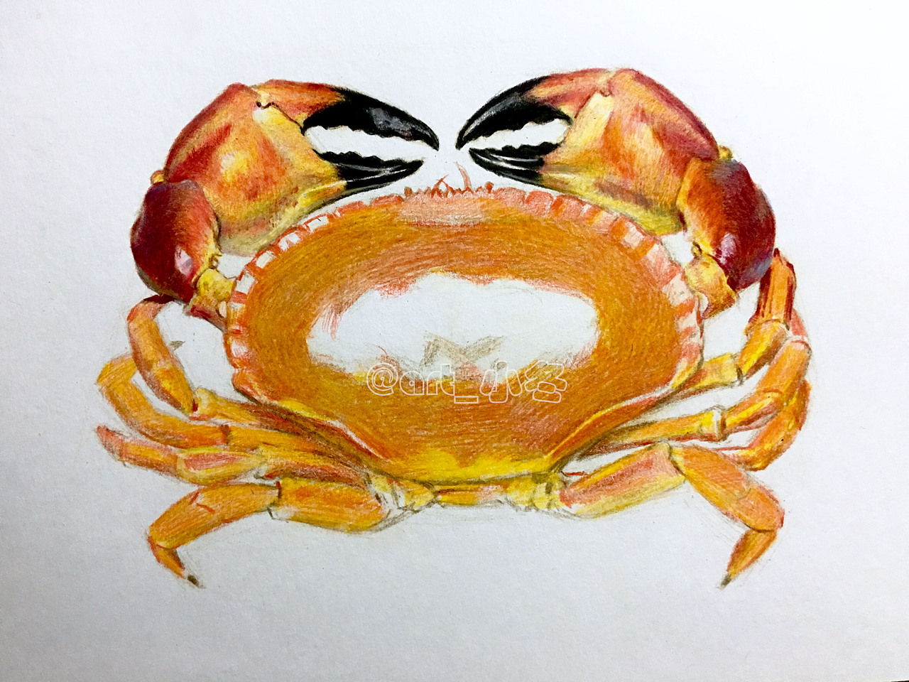 《有钳任性》（图ZNzAzMDUxNTY=） - 绘画 - 站酷设计师art_小冬原创素材 - 站酷ZCOOL