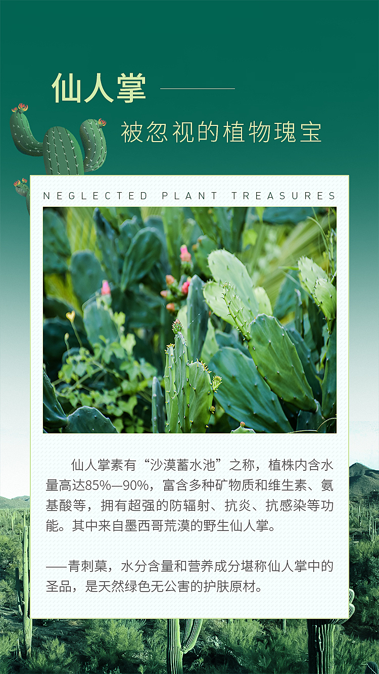 青刺菒化妆品 全案设计