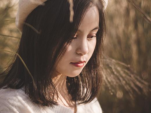 芦苇花开