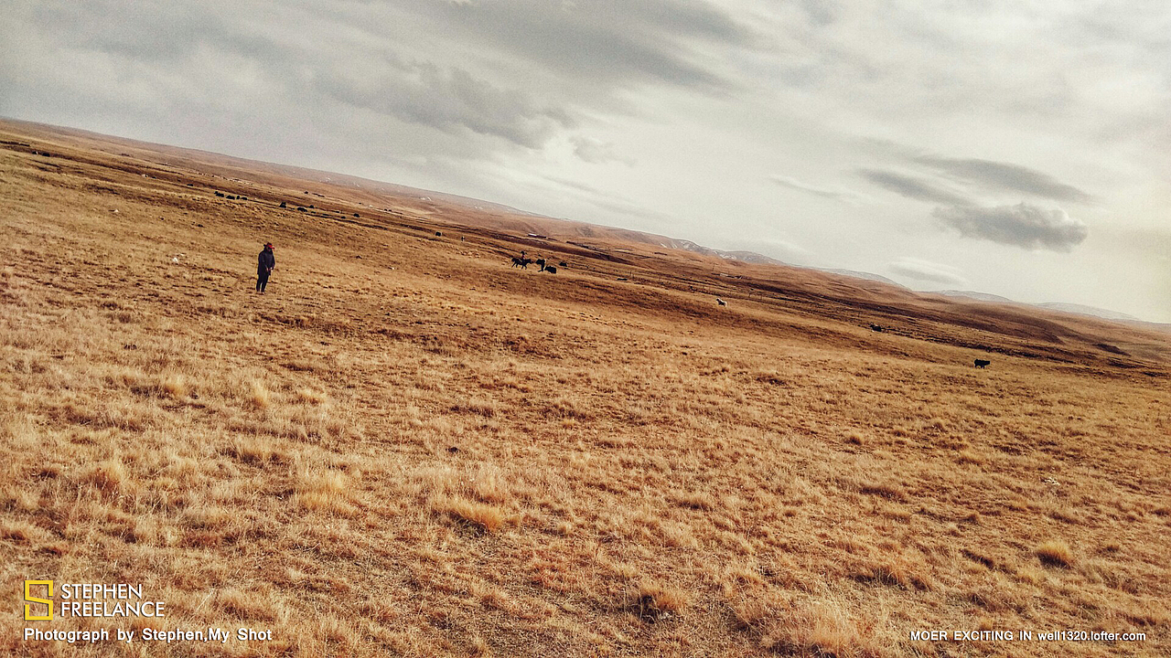 【西宁之旅】手机拍摄。