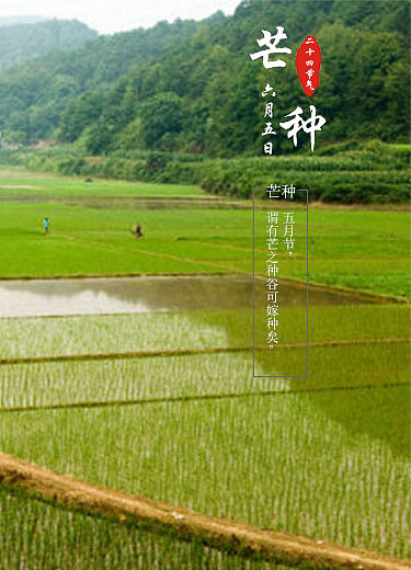 二十四节气（图ZNzE4MjQ4OTI=） - APP界面 - 站酷设计师cfy962464原创素材 - 站酷ZCOOL