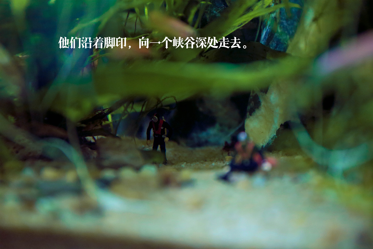 纯属娱乐的第一次微拍记录。