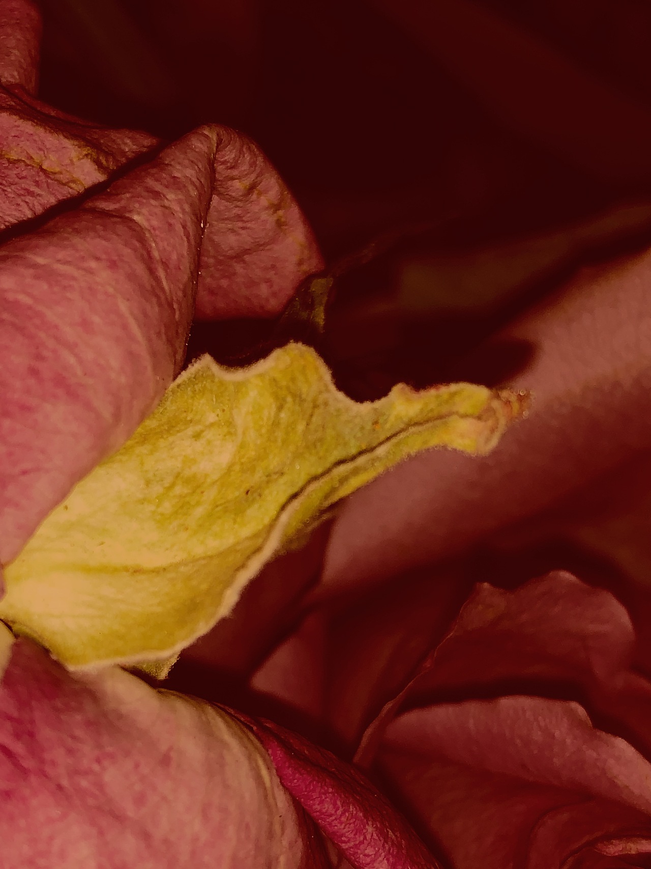 《深处有什么》