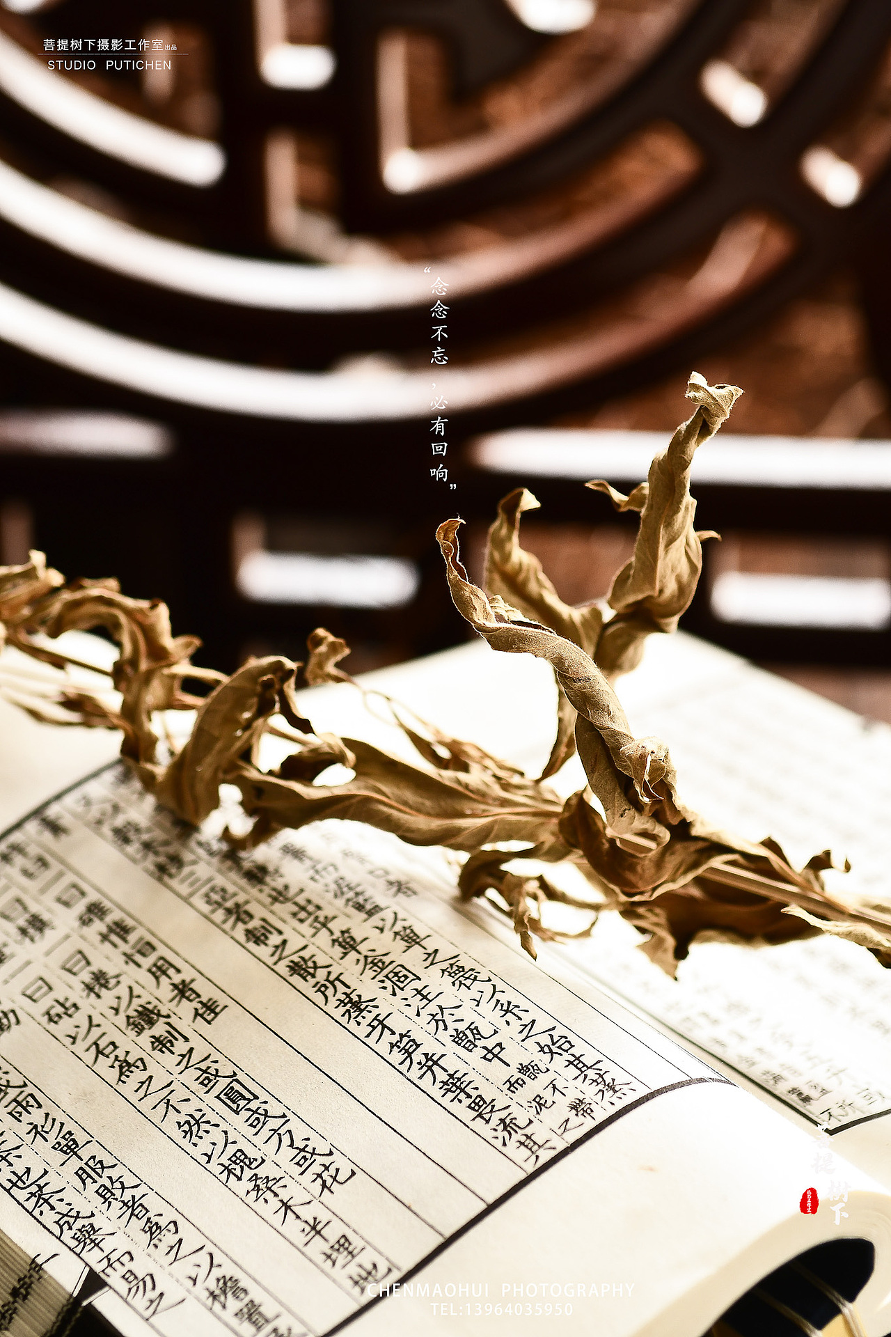 艾叶与艾叶饼（图ZMjE2MTE4MDg4） - 产品摄影 - 站酷设计师摄影师陈茂辉原创素材 - 站酷ZCOOL