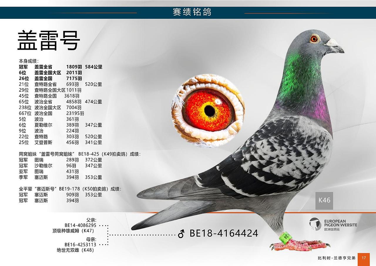 中文畫冊（圖ZMjQ1MDMxNzQ4） - 書籍/畫冊 - 站酷設(shè)計師花綴磨墨原創(chuàng)素材 - 站酷ZCOOL