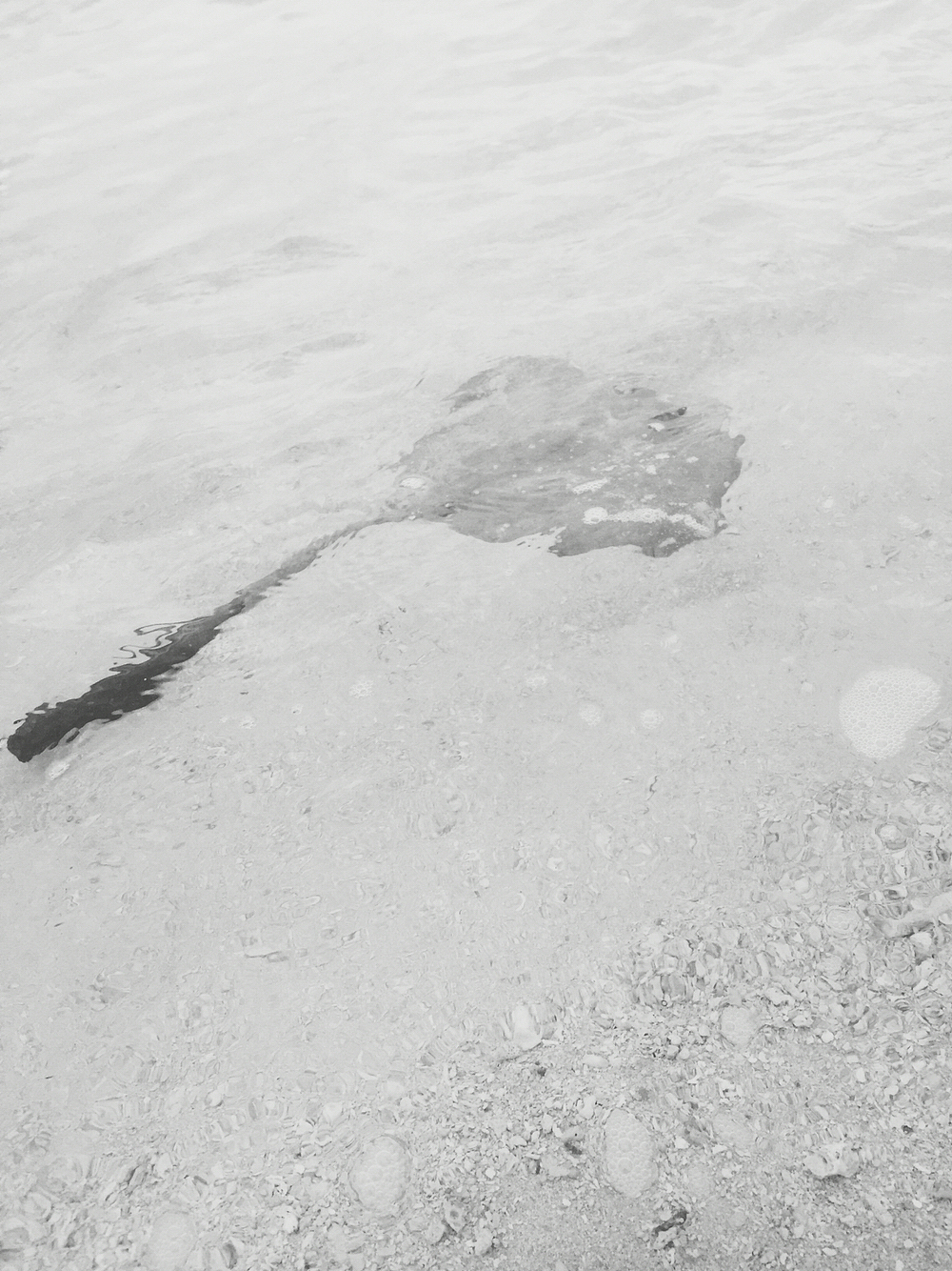 2015MALDIVES- 满月岛之旅（图ZNDAzOTM3Njg=） - 风光摄影 - 站酷设计师SUN7原创素材 - 站酷ZCOOL
