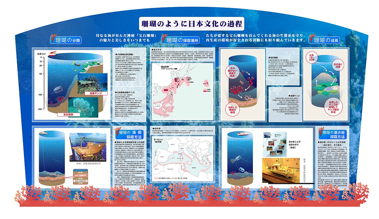 红珊瑚文化知识宣传推广 展示架设计制作 红珊瑚首饰 宝石珊瑚生长环境/种类 by万奇包装·设计（图ZMzI0NDg5ODA=） - 其他平面 - 站酷设计师啊嘉原创素材 - 站酷ZCOOL