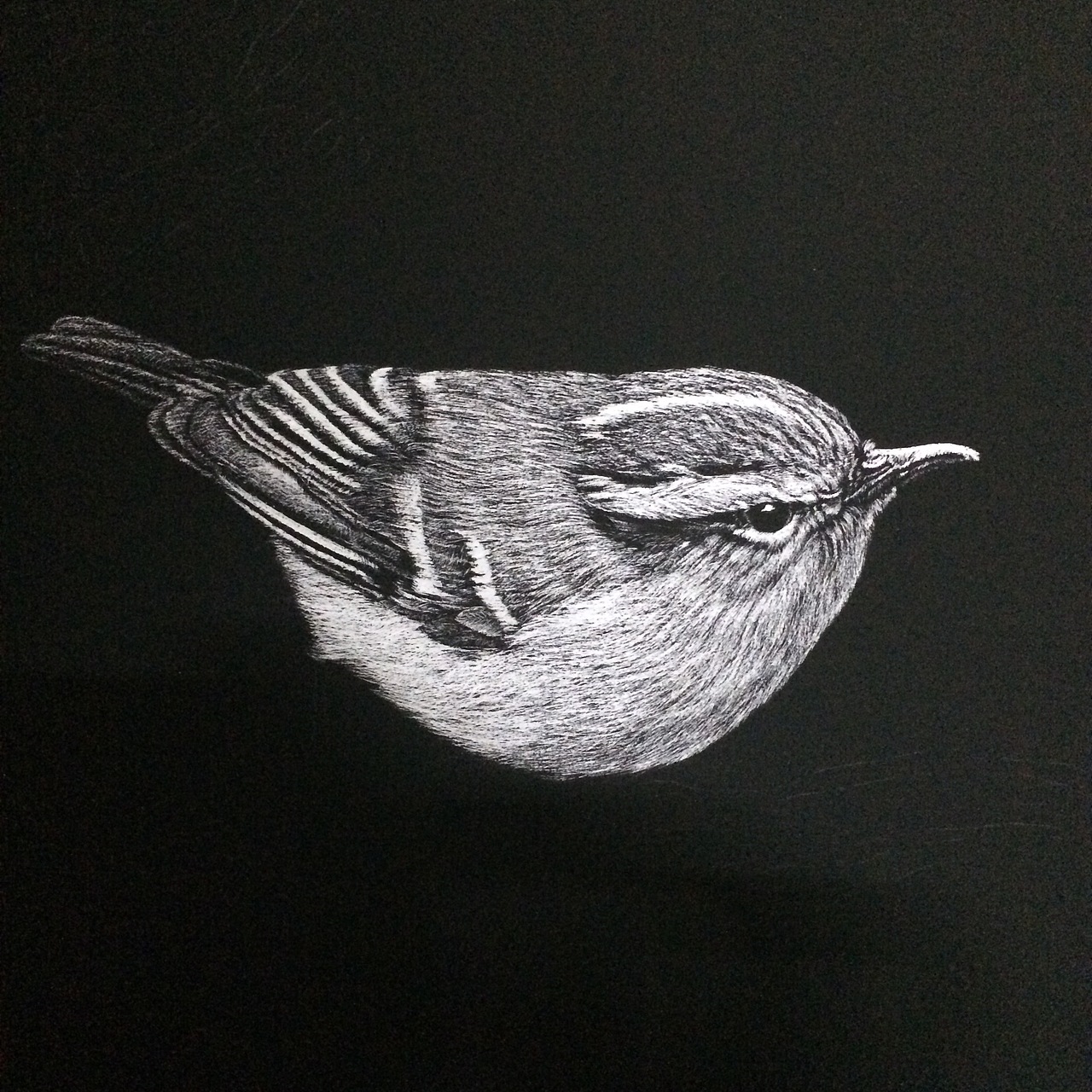 刮画《觅知音》