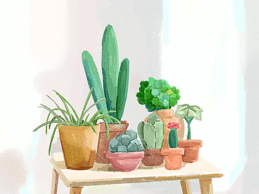 植物照片写生插画练习