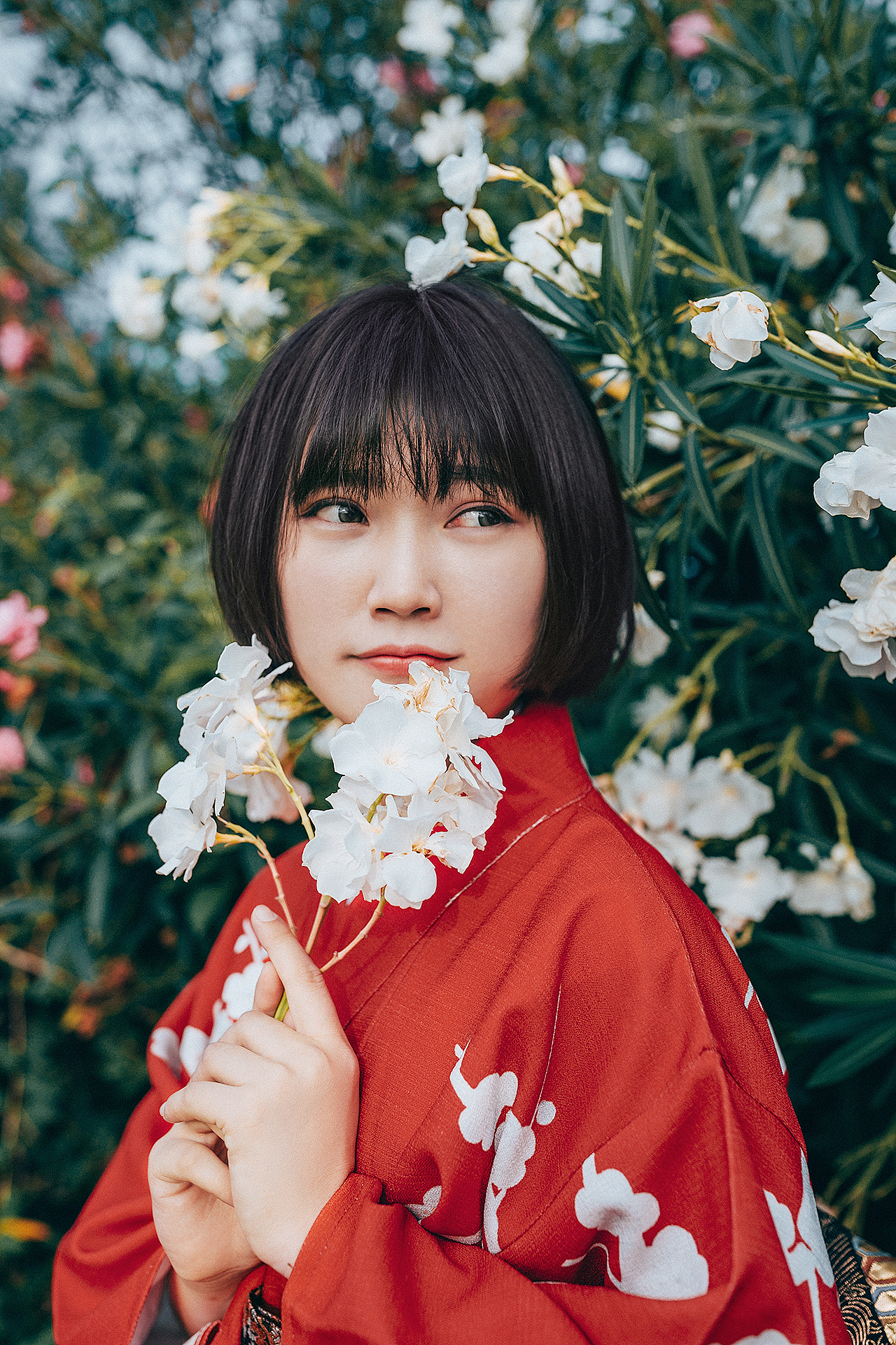 【 是夹竹桃啊 】