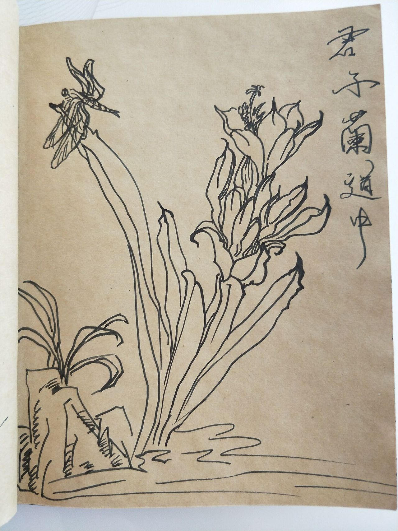 线描手绘