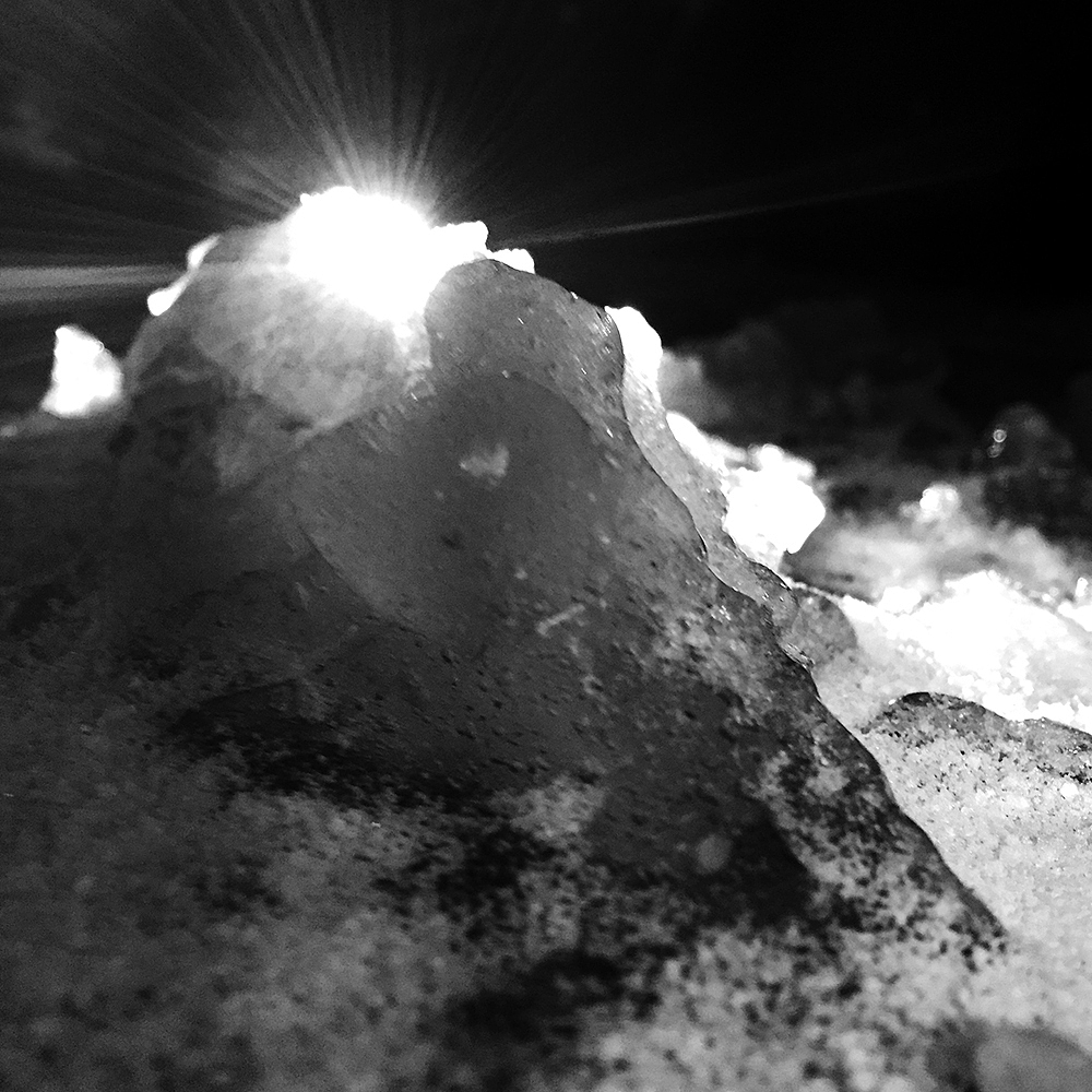 手机随拍，记录生活点滴（肆）