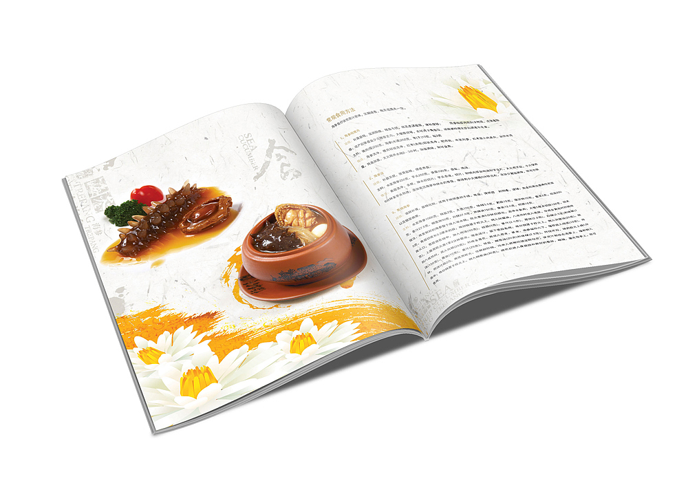 海参画册设计（图ZMTM0OTg4NTI=） - 书籍/画册 - 站酷设计师天津奔唐网络原创素材 - 站酷ZCOOL