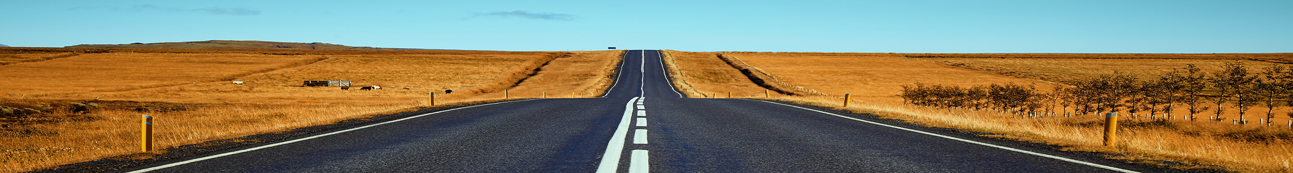 唯戀輝的個(gè)人主頁(yè)（封面預(yù)覽） - 主頁(yè)封面設(shè)置 - 站酷設(shè)計(jì)師唯戀輝原創(chuàng)素材 - 站酷ZCOOL