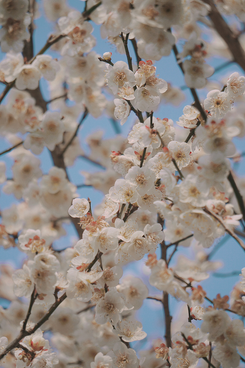 杭州上海南京风光摄影