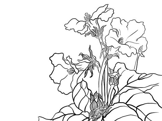 线描练习（个人主页-ZNTY4NTg3ODA=） - 创作习作 - 站酷设计师Sunset_about原创素材 - 站酷ZCOOL