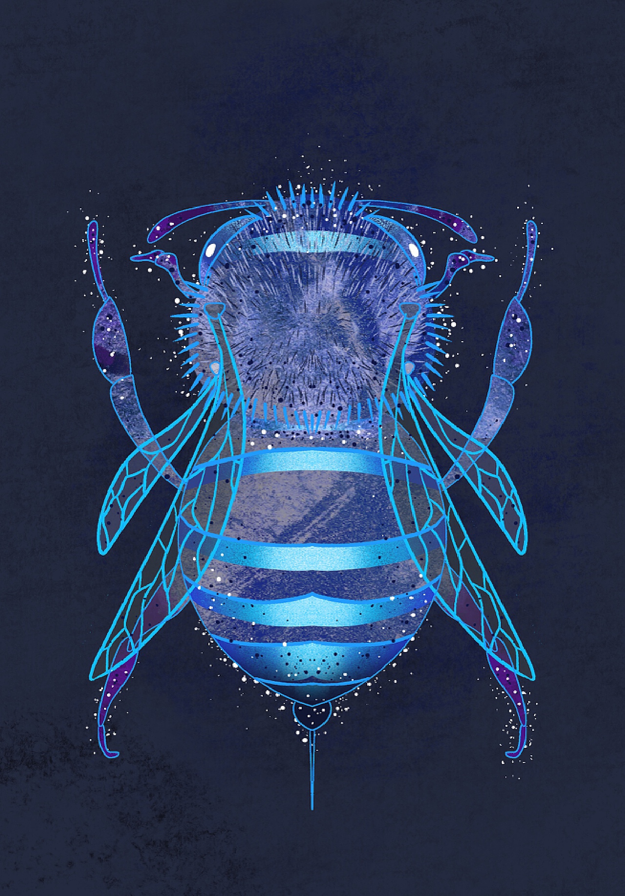 蜜蜂 花 蓝色的 - Pixabay上的免费照片 - Pixabay
