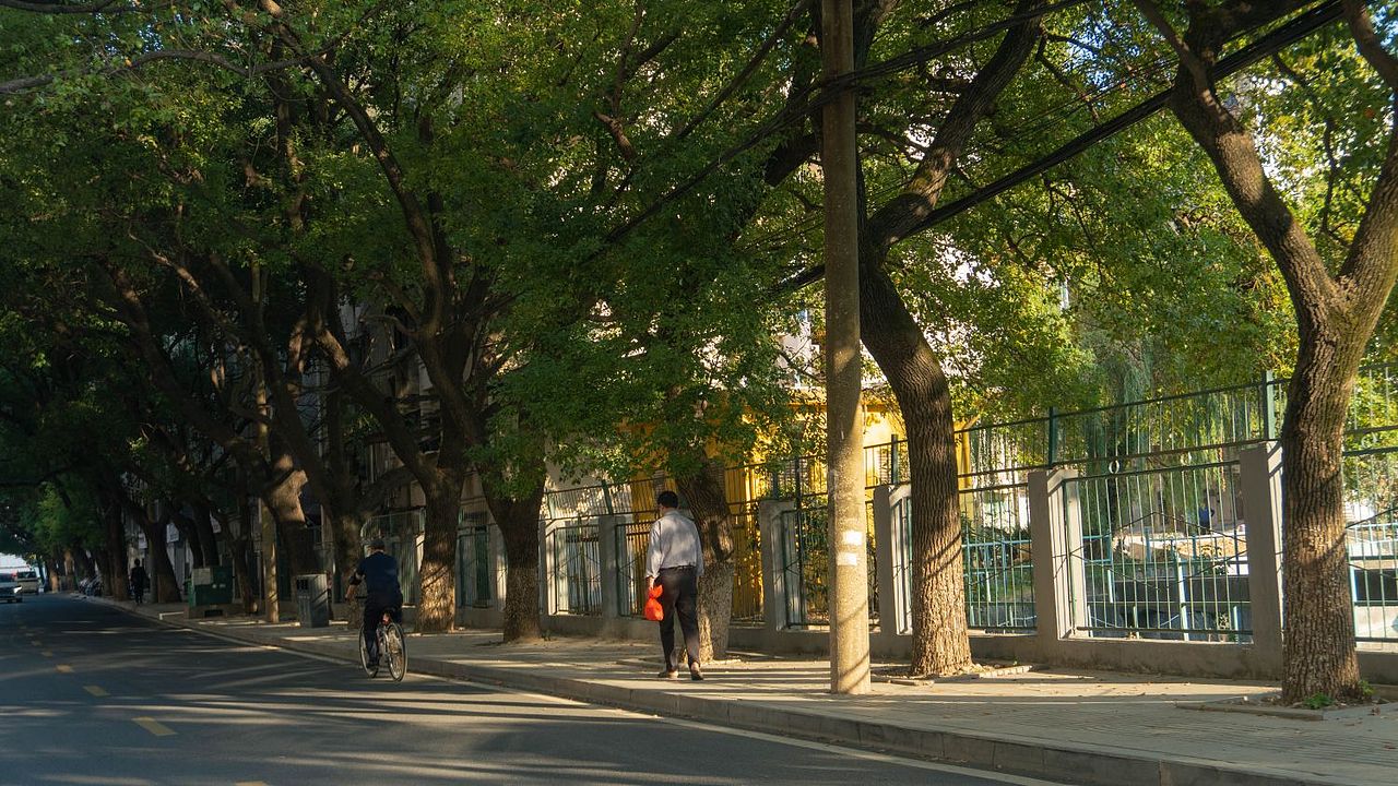 扫街分享（图ZMzU0Mjc1NjU2） - 人文/纪实摄影 - 站酷设计师ysbdbzjzikalqk原创素材 - 站酷ZCOOL