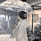 莉脂的头像
