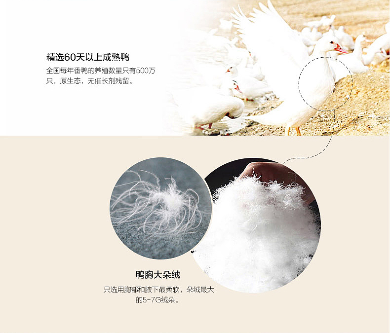 天猫女装羽绒服详情页优化