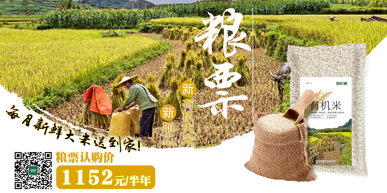 有机大米banner--粮票 生鲜食品 网页设计 新鲜大米（图ZMjQ5NzgzMTI=） - 运营设计 - 站酷设计师Sep_ponytail原创素材 - 站酷ZCOOL