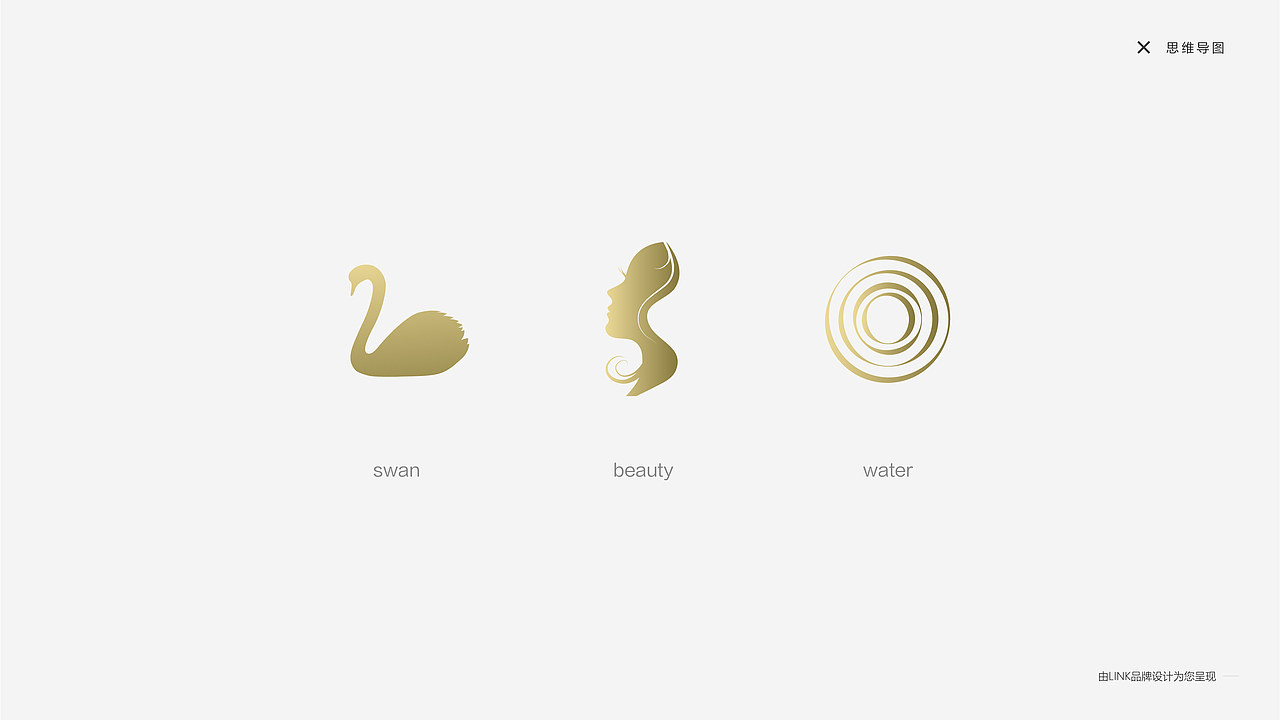 艾美锶美容LOGO设计