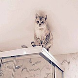 Geronimo_的头像