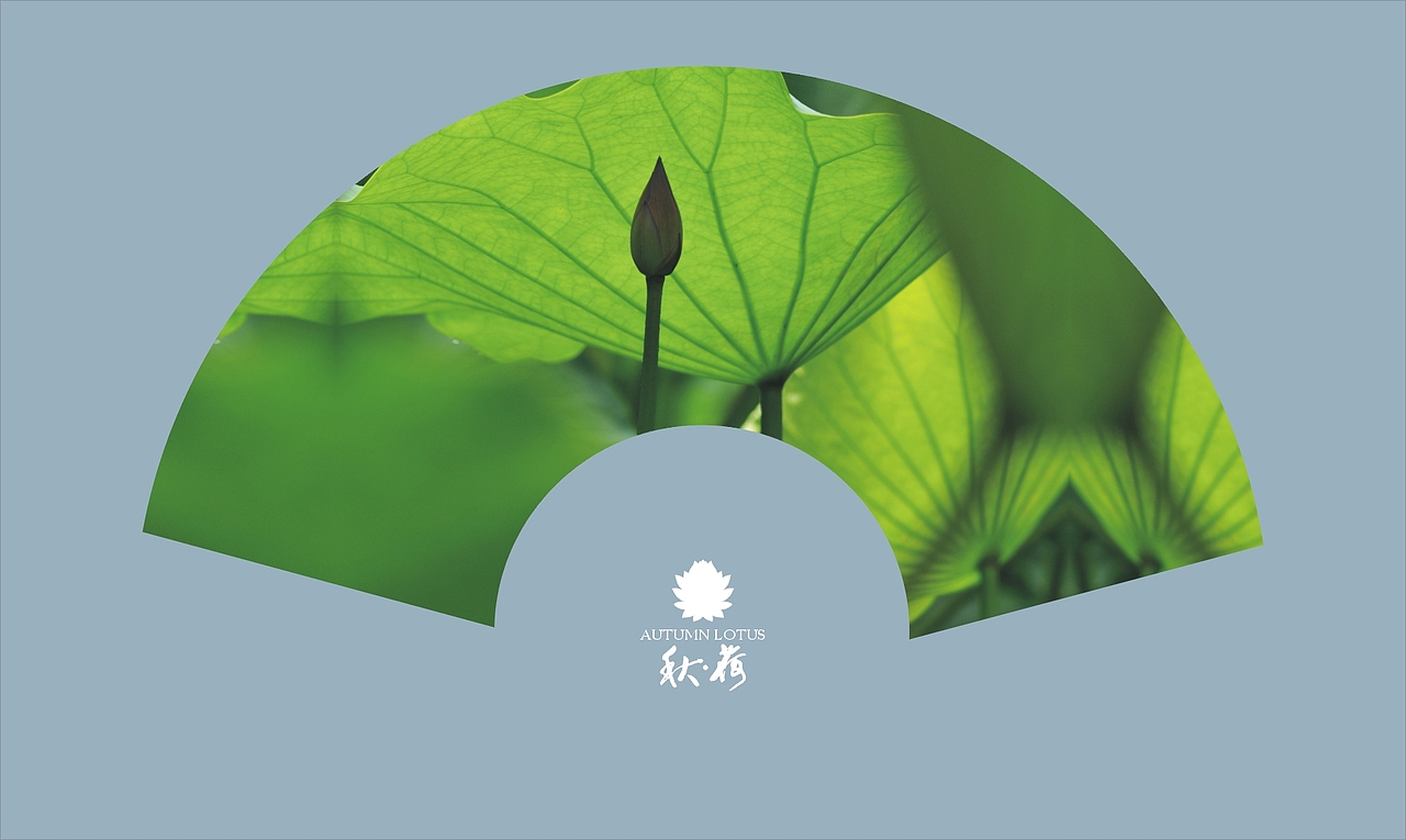 秋荷（图ZMTQ3Nzc0NA==） - 风光摄影 - 站酷设计师ARV雨后视觉原创素材 - 站酷ZCOOL