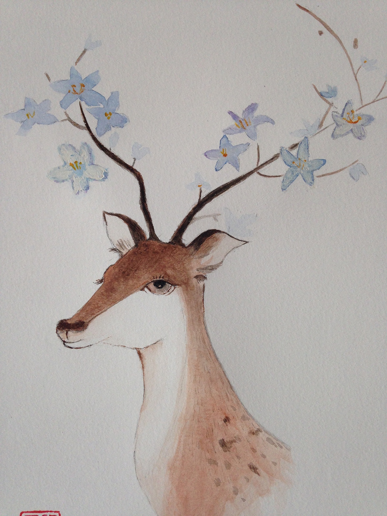 水彩画《梅花鹿》