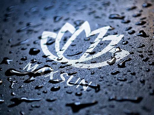 美神LOGO提案