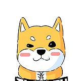小狗围妮的头像