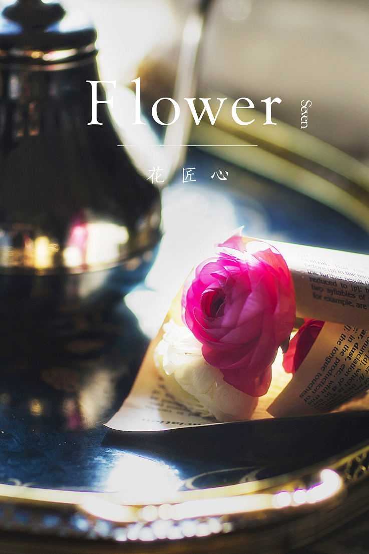 花与光线的午后