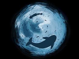 海洋插画