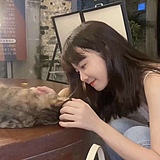 当虾的头像