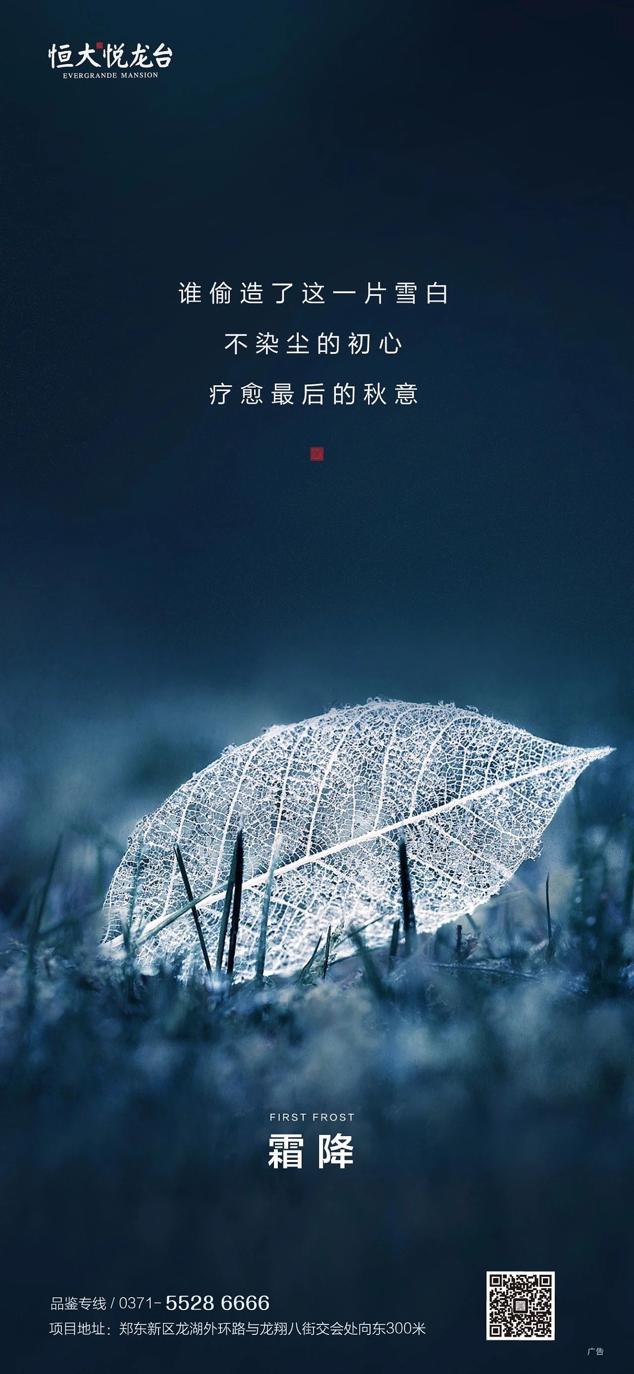 2021地产霜降海报合集-96P(赠送打包文件)