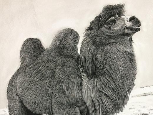李子哥刮画作品《圣地雄姿》