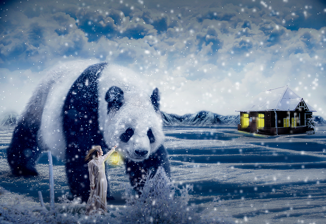 合成雪天熊猫超现实照片