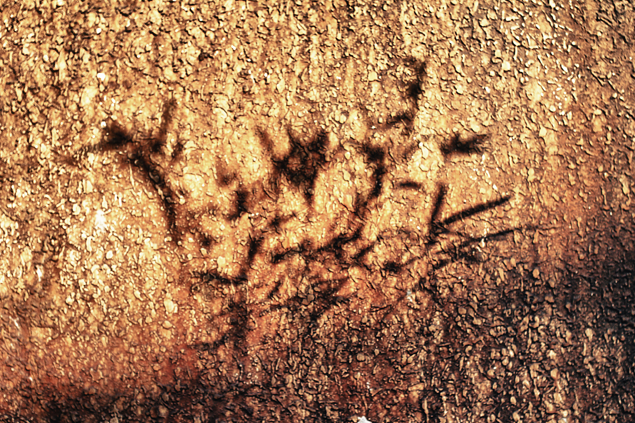 2014深圳香港城市建筑双年展