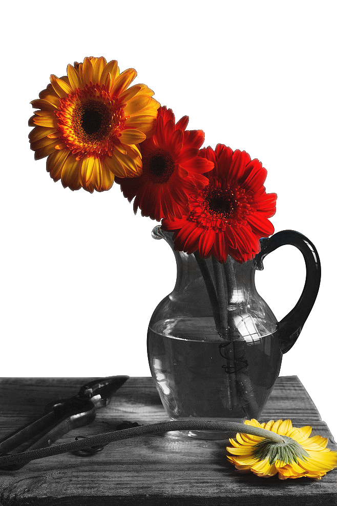 合成（图ZNDY4MDMyMjQ=） - 图案 - 站酷设计师新青年121原创素材 - 站酷ZCOOL