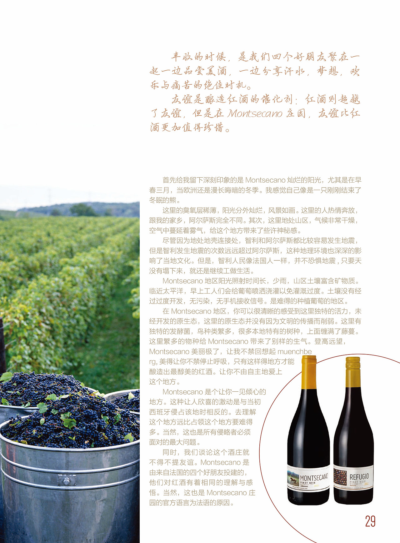 La Cava De Laoma智利葡萄酒册（图ZMjUwOTI1Nzk2） - 书籍/画册 - 站酷设计师王斌蒂山原创素材 - 站酷ZCOOL