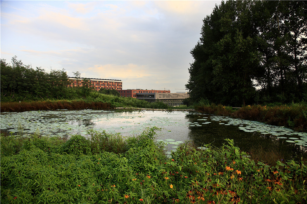成都学校设计/成都学校装修/成都学校设计公司（图ZMTI5NjYxOTMy） - 家装设计 - 站酷设计师我15196613794原创素材 - 站酷ZCOOL