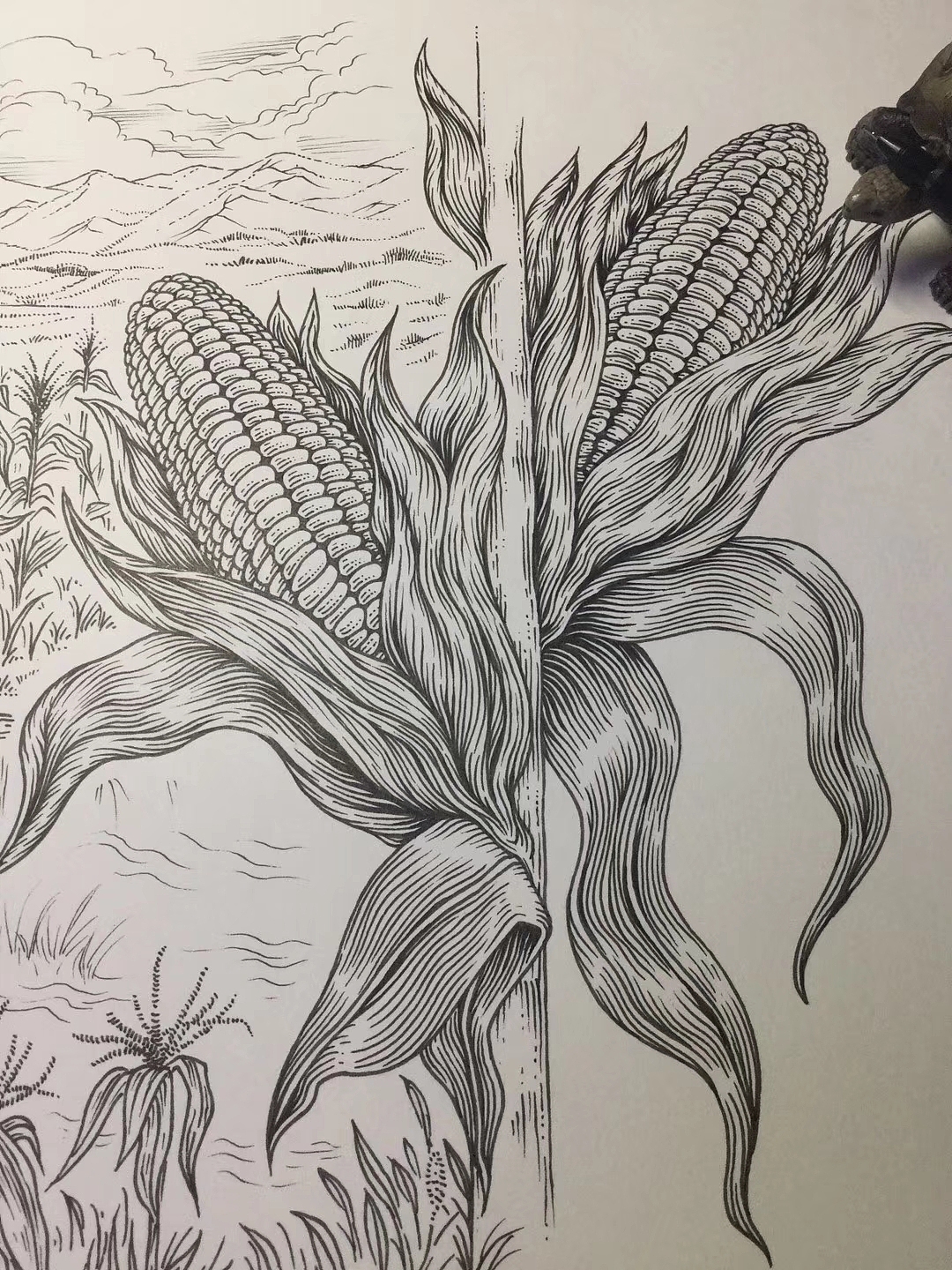 近期两幅 手绘商业插图