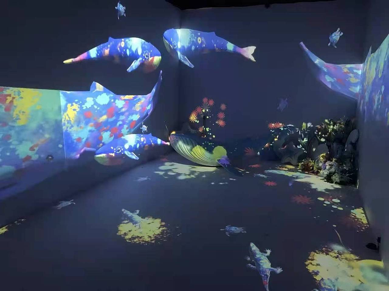 互动鲸鱼岛 互动鲸鱼