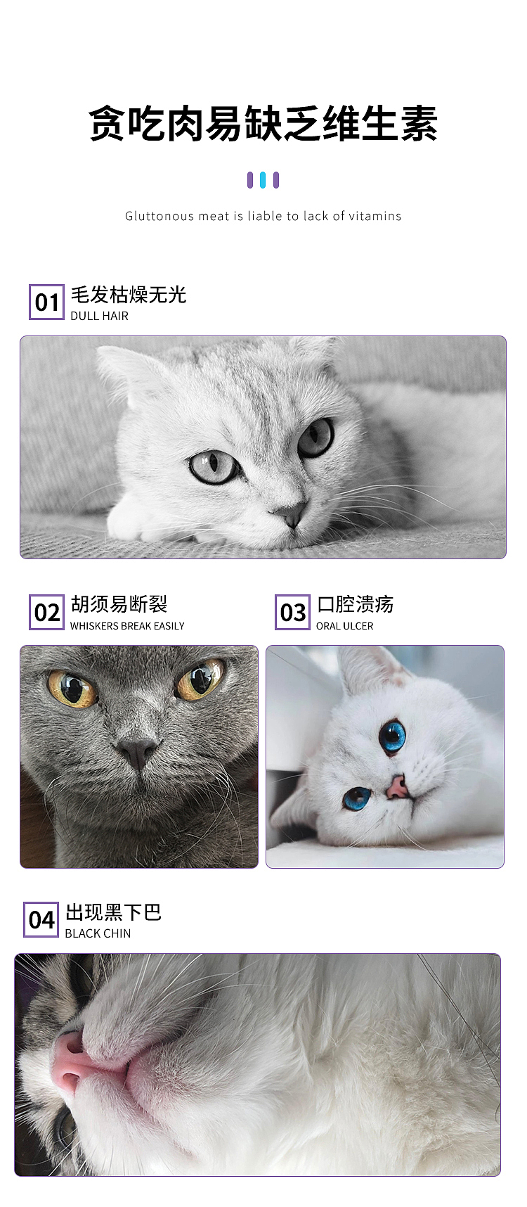 宠物保健品详情页