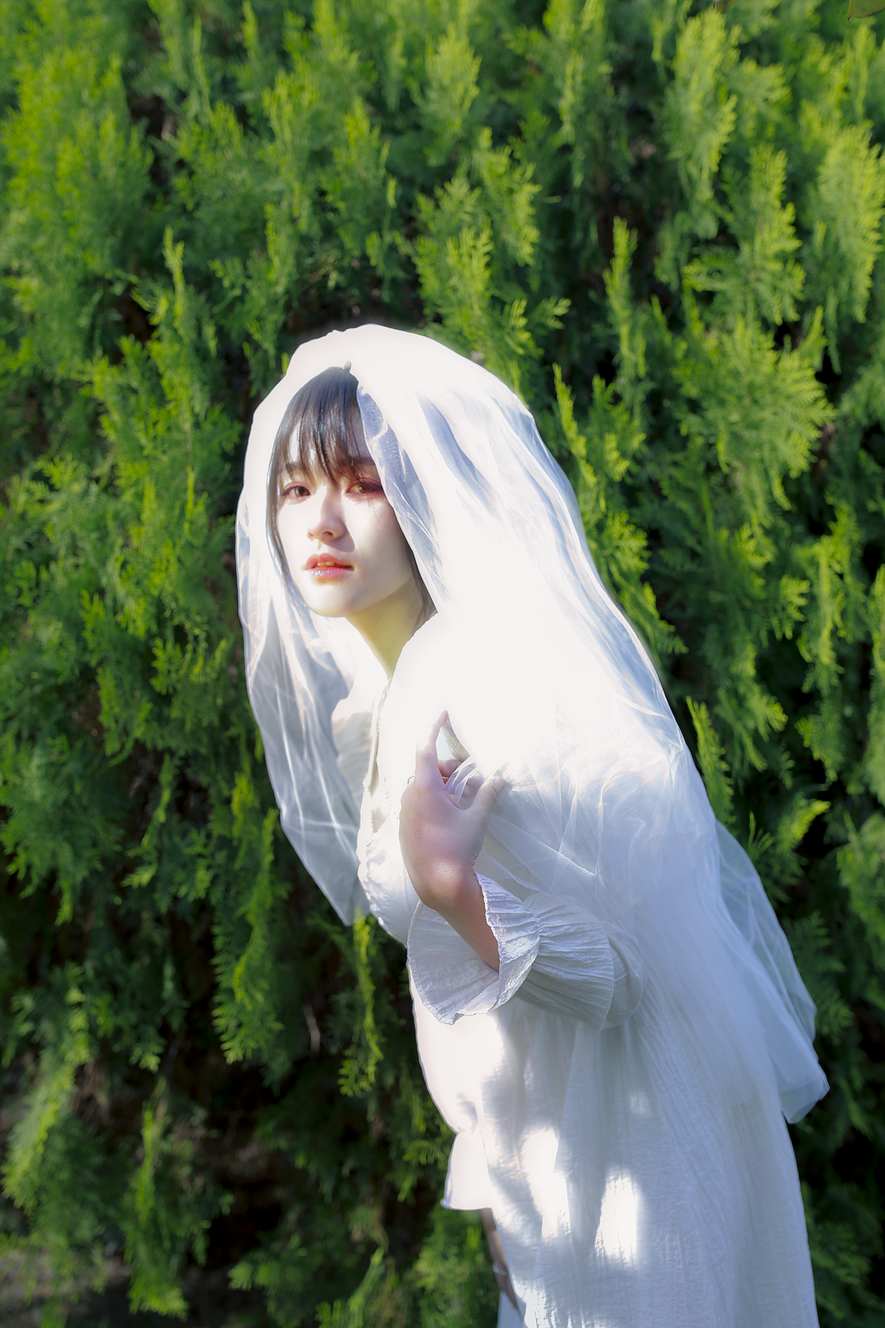 人像摄影/轻纱户外个人写真