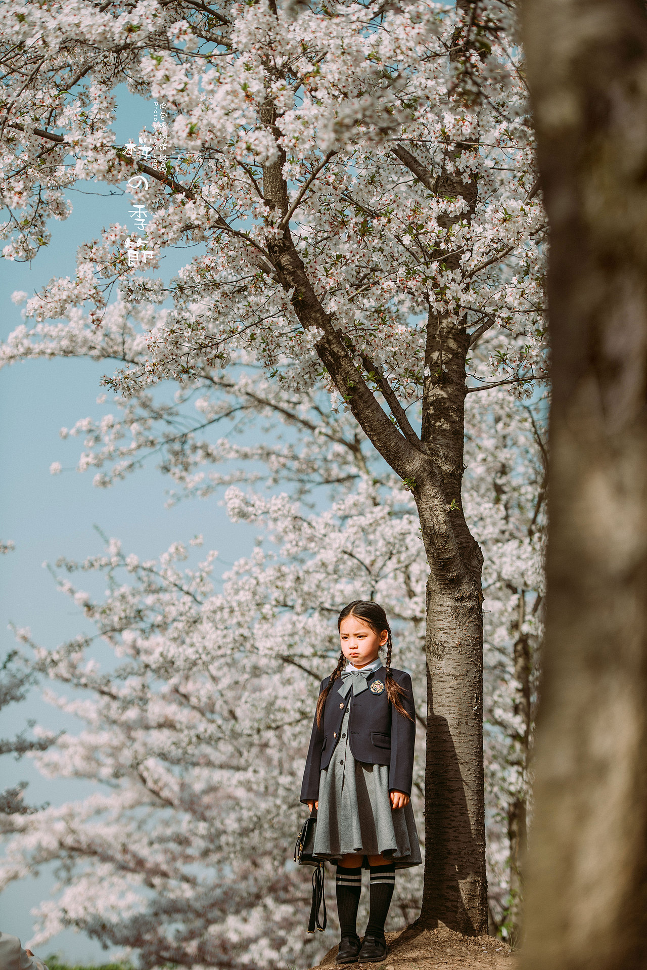 2021樱花季JK（图ZMjQ4OTEzODk2） - 人像摄影 - 站酷设计师肉包大王巡山记原创素材 - 站酷ZCOOL