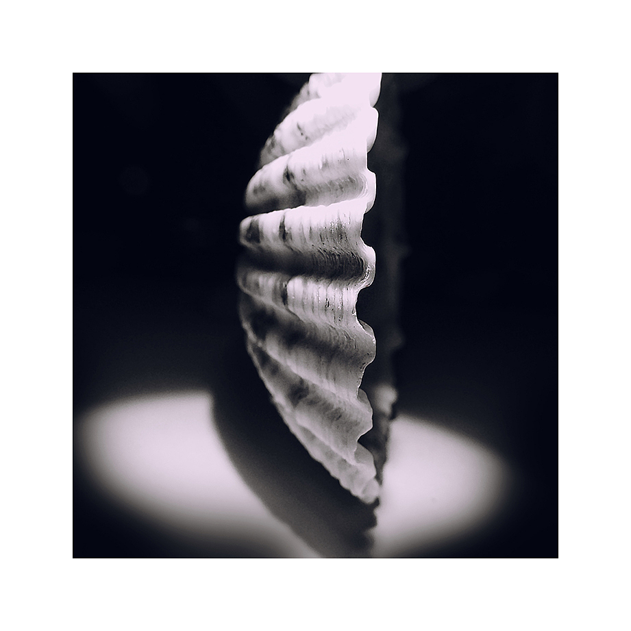 【生长3】（图ZNjM5MDEyODQ=） - 风光摄影 - 站酷设计师壹拾贰12原创素材 - 站酷ZCOOL